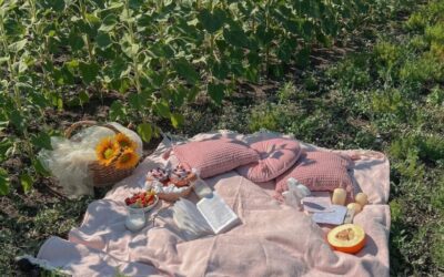 Sunflower picnic