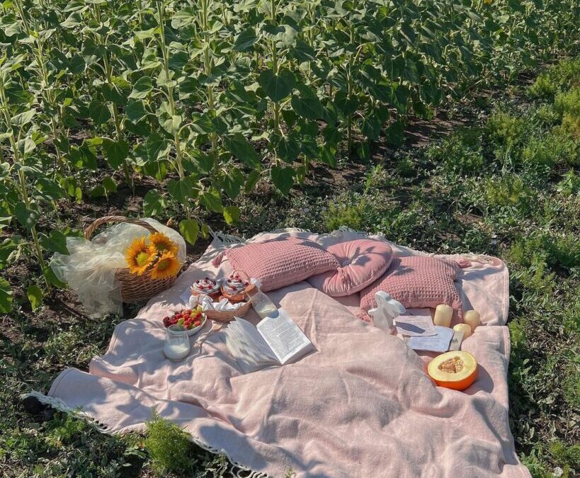 Sunflower picnic